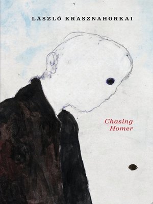 Chasing Homer - ebook